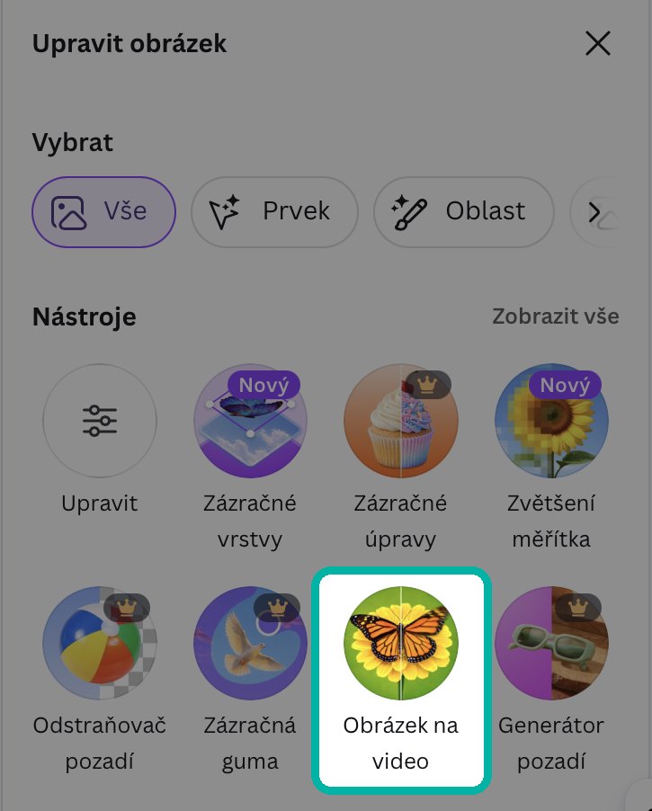 Canva, panel Nástroje s položkou Obrázek na video